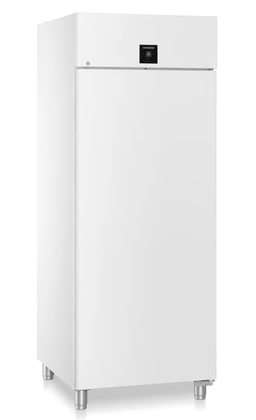 Armoire réfrigérée positive - 600x800 - 854L - LIEBHERR - BRPvg 8401 n°1