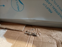 Saladette à poser - 12 bacs GN1/3 - AFINOX VRS+2560V n°4